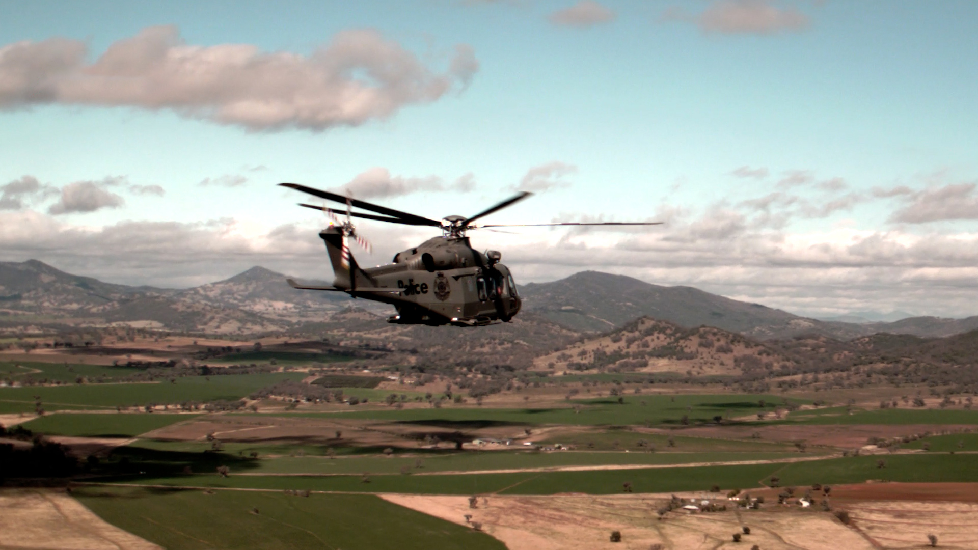 SF-VipPol-5000 hours (6)